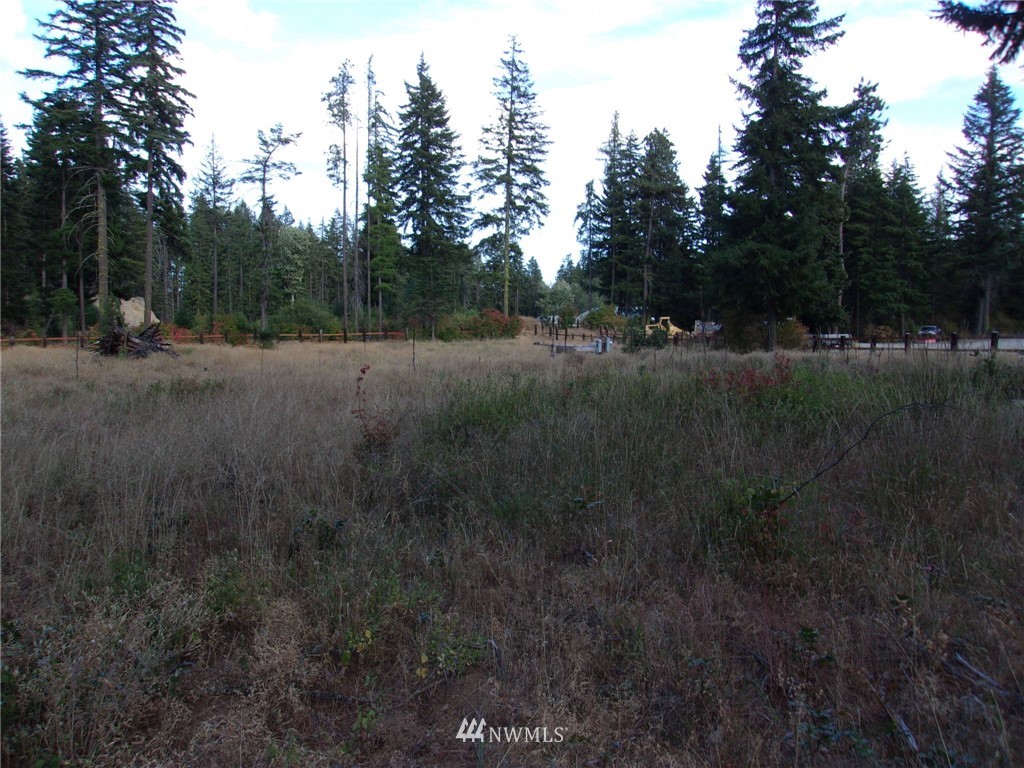 10673 Westside Road Cle Elum, WA 98922 - Photo 2 of 20 Gallery Image 2