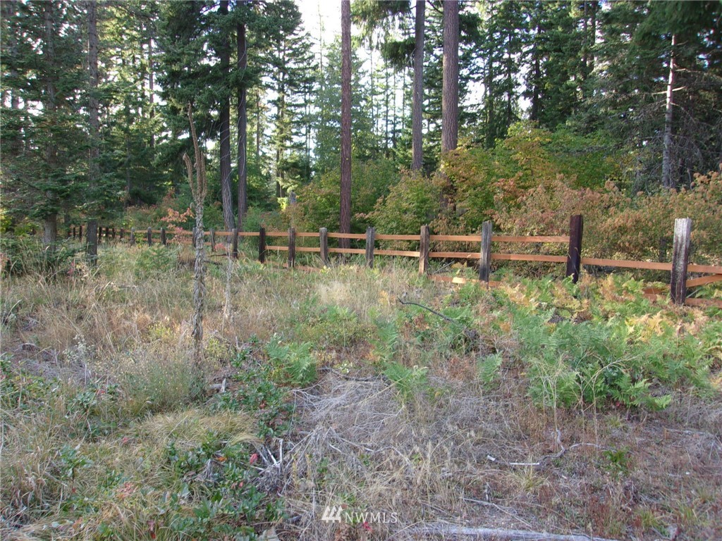 10673 Westside Road Cle Elum, WA 98922 - Photo 11 of 20 Gallery Image 11