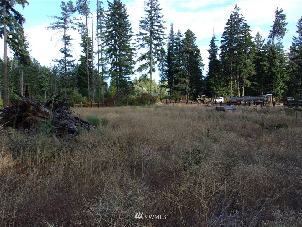 10673 Westside Road Cle Elum, WA 98922 - Photo 12 of 20 Gallery Image 12