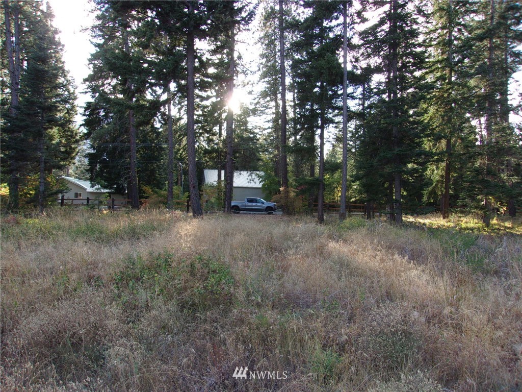 10673 Westside Road Cle Elum, WA 98922 - Photo 14 of 20 Gallery Image 14