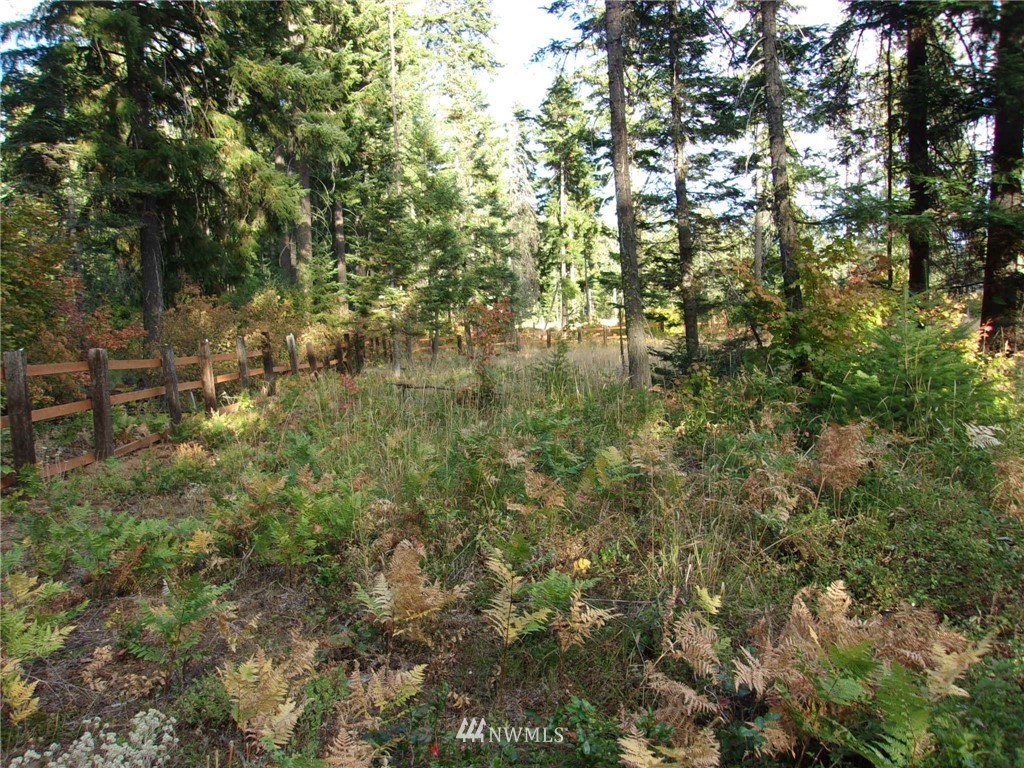 10673 Westside Road Cle Elum, WA 98922 - Photo 15 of 20 Gallery Image 15