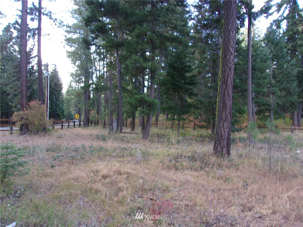 10673 Westside Road Cle Elum, WA 98922 - Photo 16 of 20 Gallery Image 16