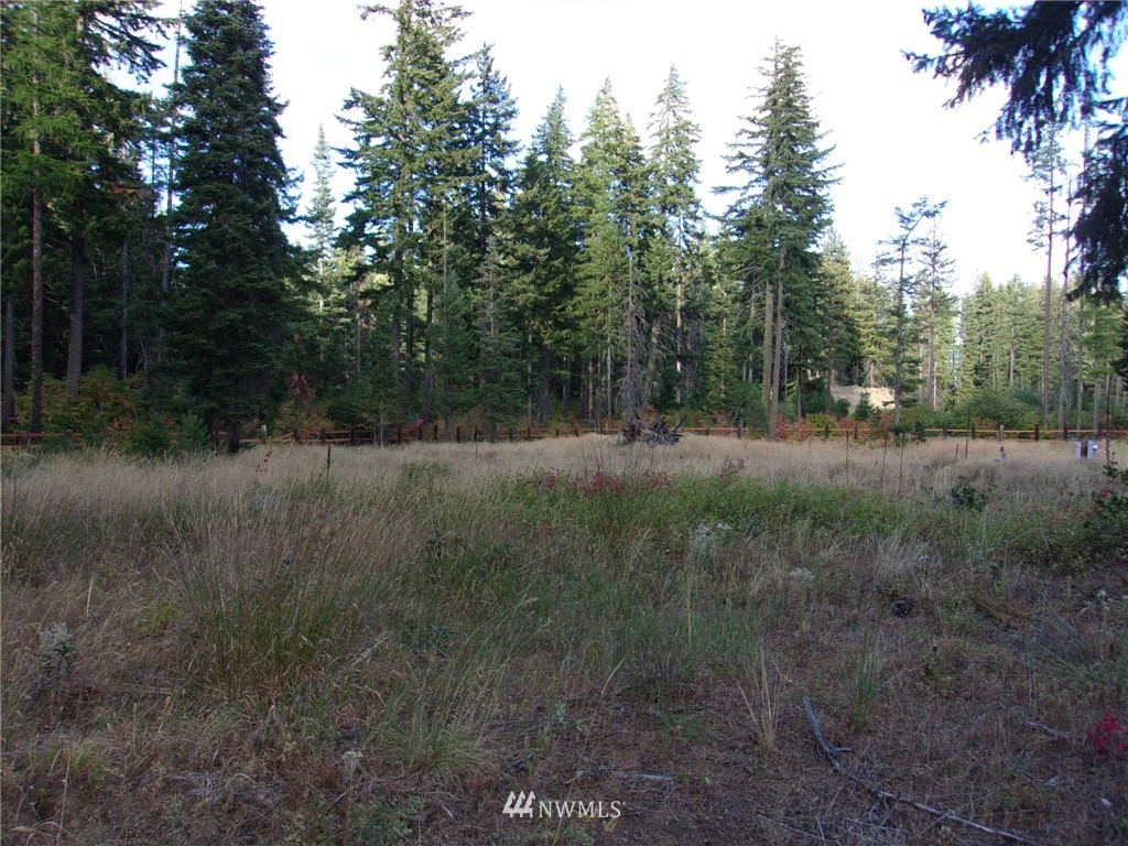 10673 Westside Road Cle Elum, WA 98922 - Photo 17 of 20 Gallery Image 17