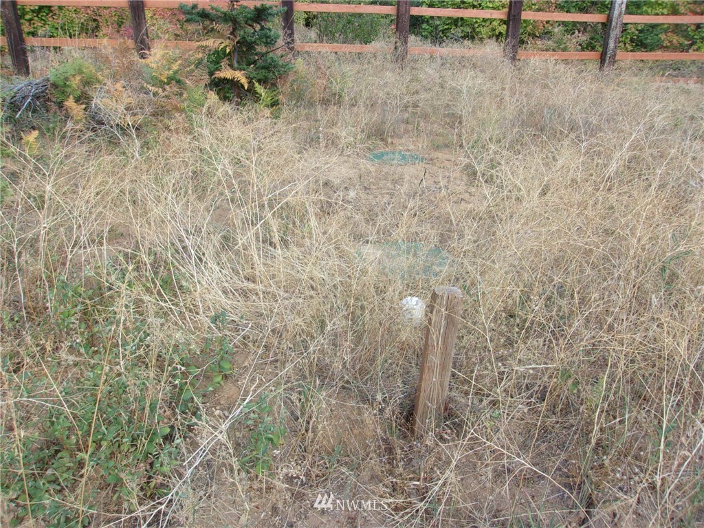 10673 Westside Road Cle Elum, WA 98922 - Photo 19 of 20 Gallery Image 19