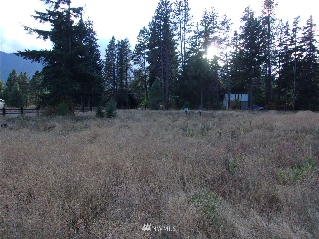 10673 Westside Road Cle Elum, WA 98922 - Photo 20 of 20 Gallery Image 20