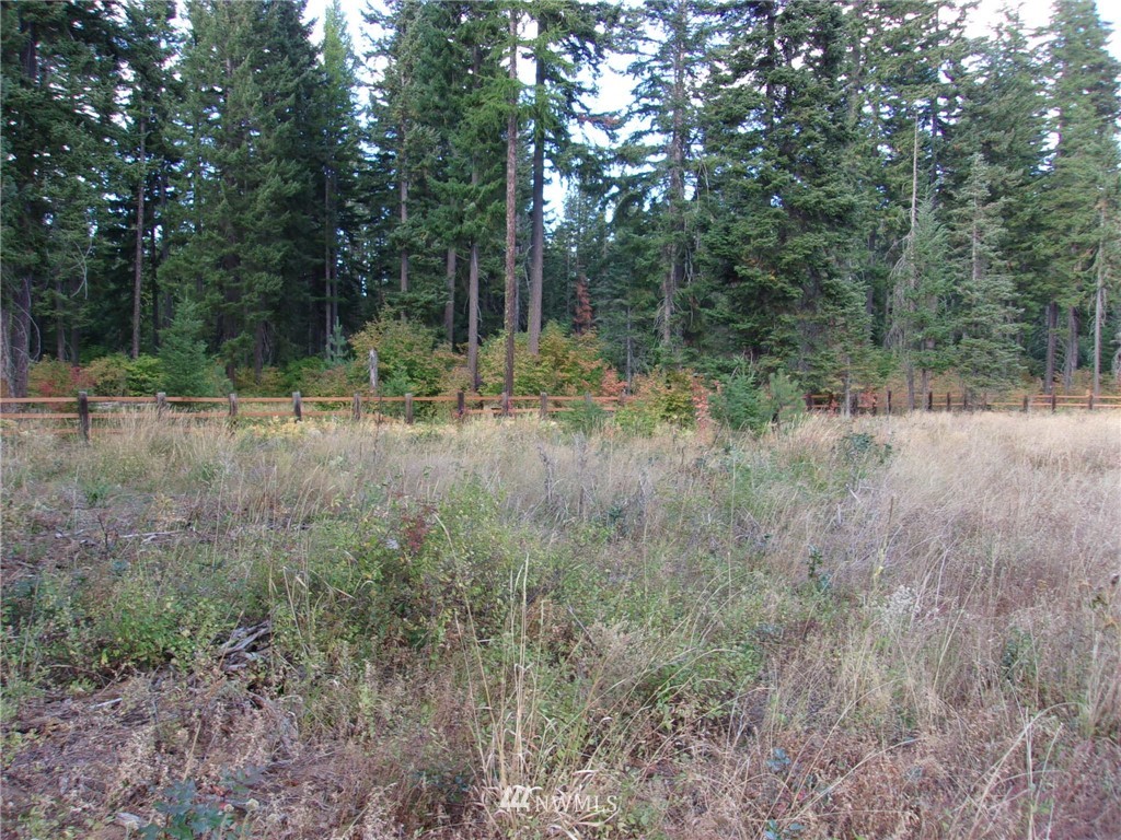 10673 Westside Road Cle Elum, WA 98922 - Photo 3 of 20 Gallery Image 3