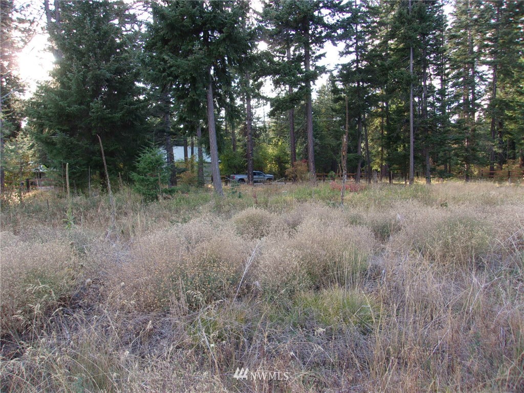 10673 Westside Road Cle Elum, WA 98922 - Photo 7 of 20 Gallery Image 7