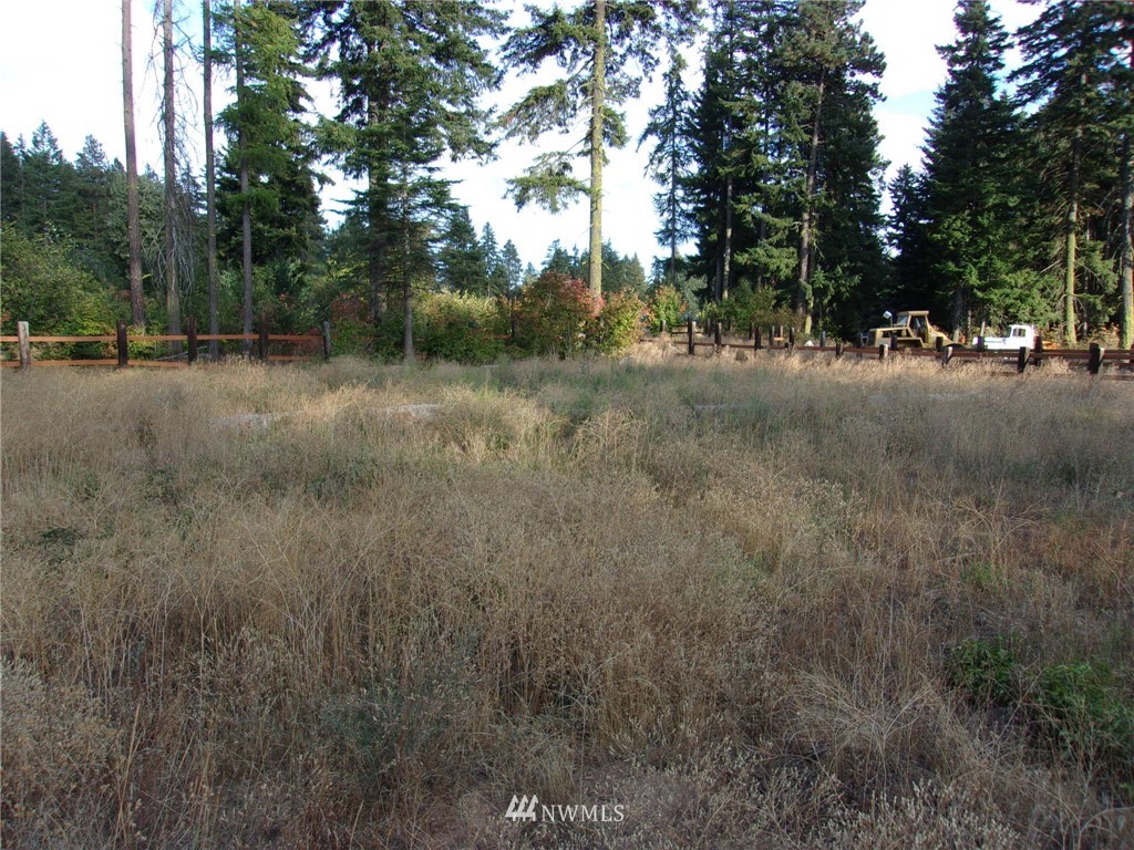 10673 Westside Road Cle Elum, WA 98922 - Photo 9 of 20 Gallery Image 9