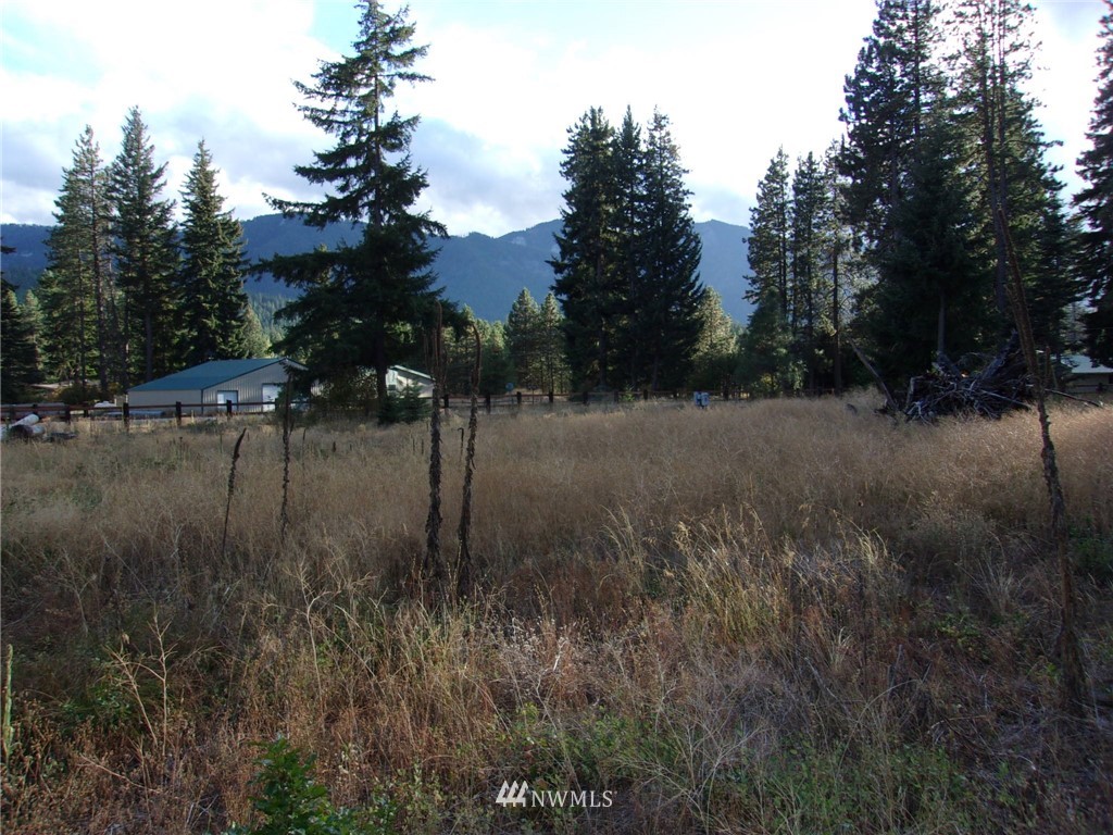 10673 Westside Road Cle Elum, WA 98922 - Photo 10 of 20 Gallery Image 10