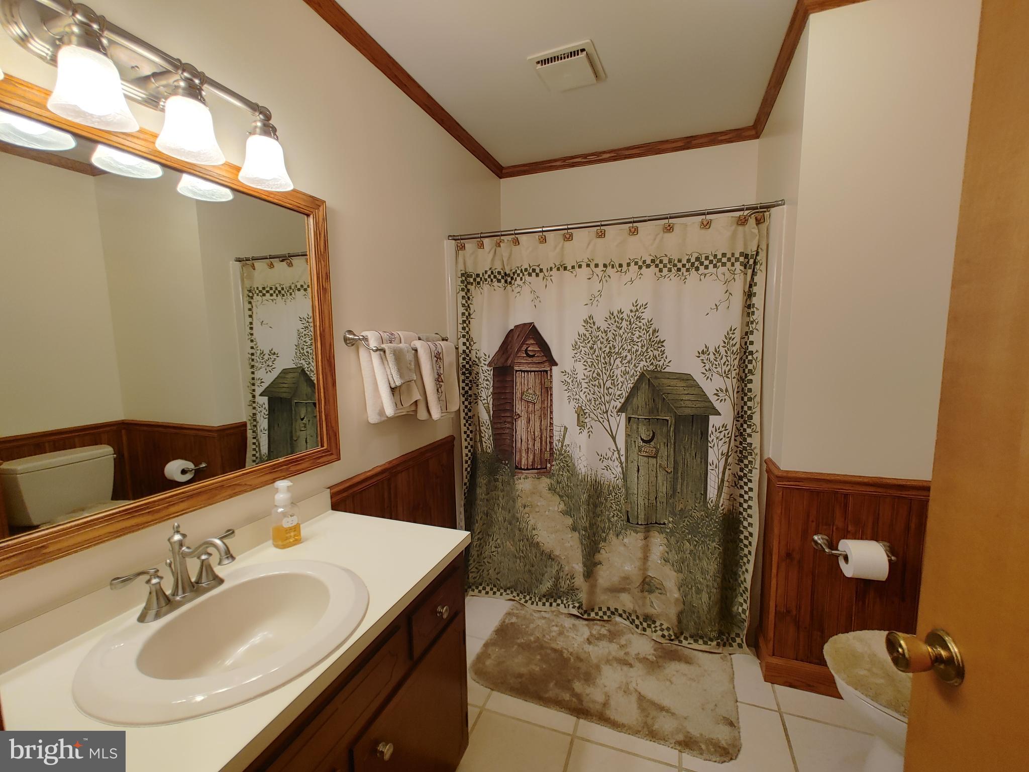 2941 Money Make Road Trappe, MD 21673 - Photo 33 of 47 Hall bath