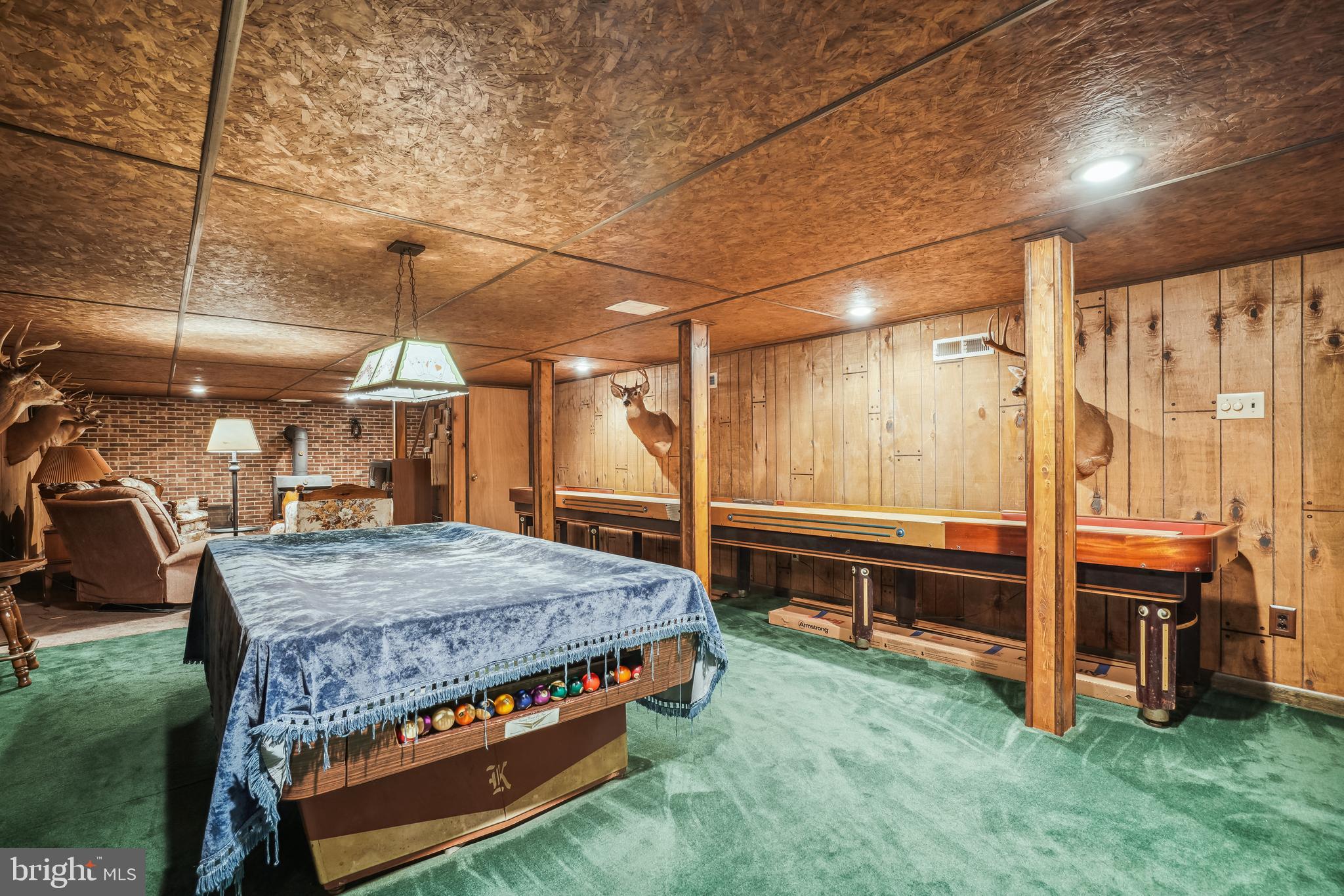 2941 Money Make Road Trappe, MD 21673 - Photo 37 of 47 Pool table and skee ball