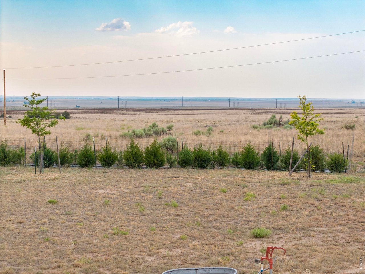 13550 Deter-Winters Road Byers, CO 80103 - Photo 49 of 50 The tree farm on the northwest side of the property has various evergreens and shade trees ready to transplant throughout the property according to your vision