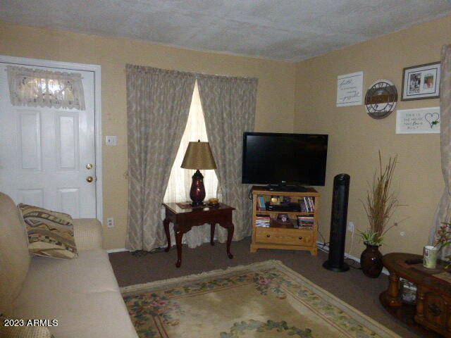 436 Jamestown Road Kearny, AZ 85137 - Photo 6 of 20 P1040754