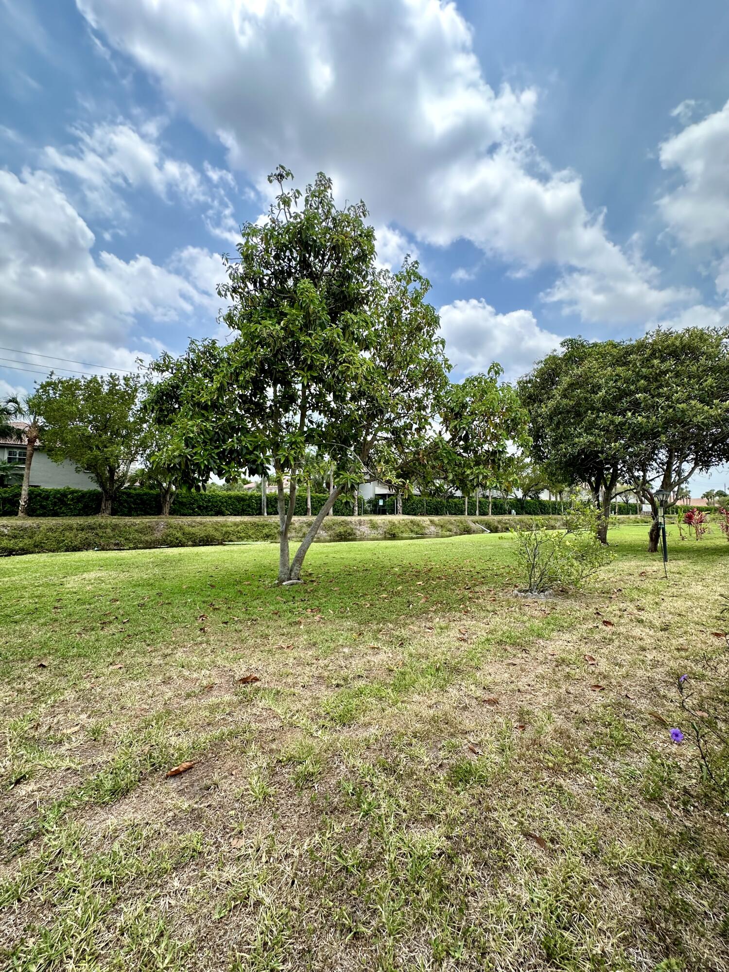 8252 South Street Boca Raton, FL 33433 - Photo 23 of 25 Back View