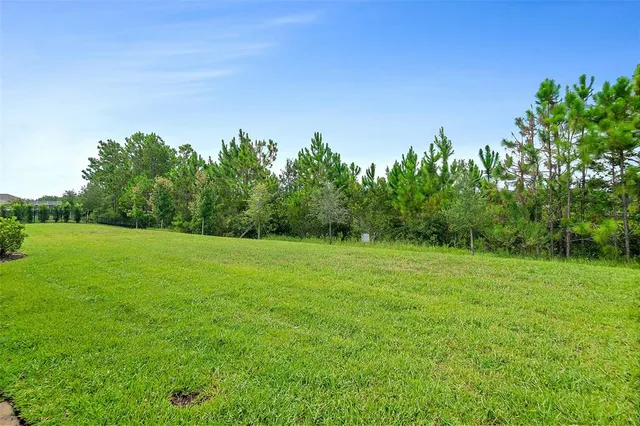a view of a lush green field