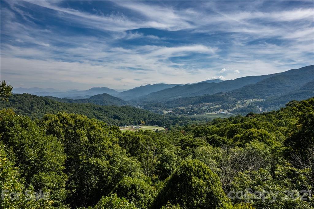 545 Old Fiddle Road Waynesville, NC 28786 - Photo 6 of 35 a view of a bunch of trees and bushes