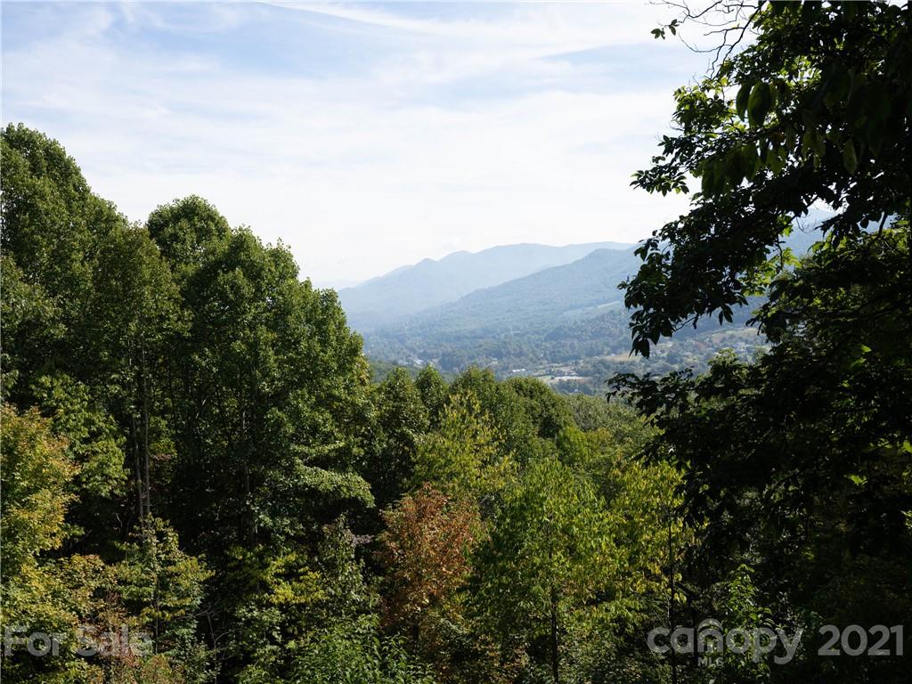 545 Old Fiddle Road Waynesville, NC 28786 - Photo 7 of 35 a view of a lush green field with lots of bushes