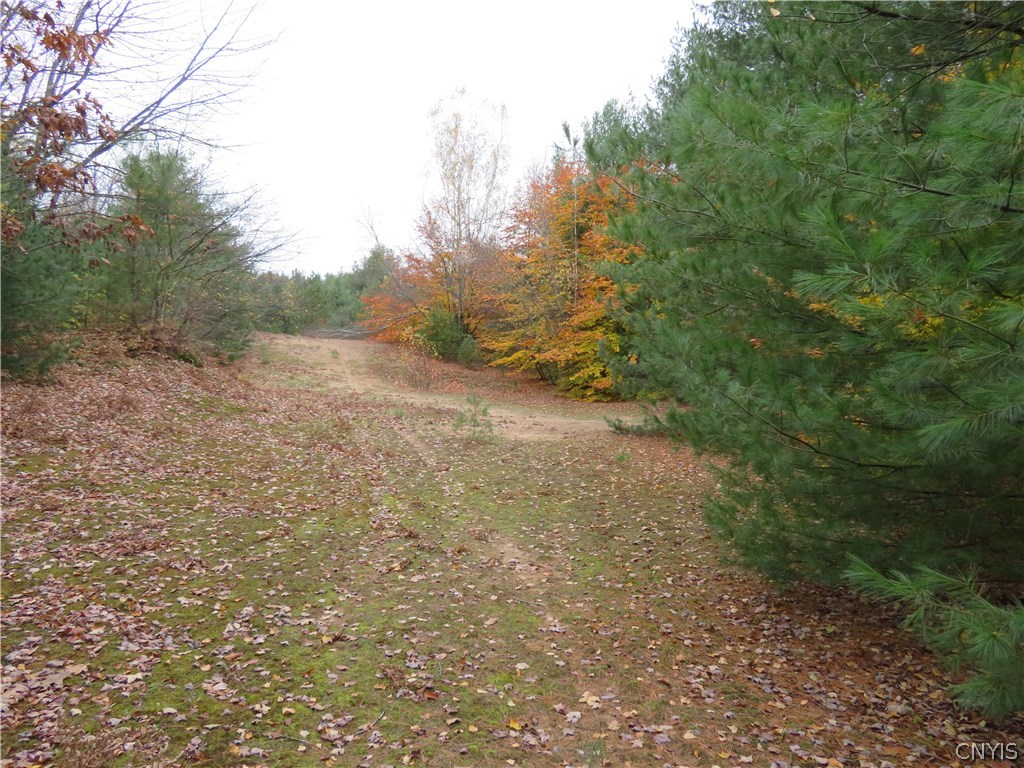 0 Bull Run Road Pulaski, NY 13142 - Photo 7 of 7 Gallery Image 7