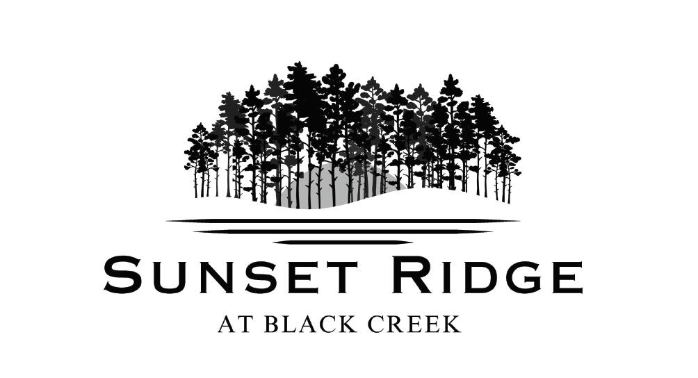 5123 Ravinia Lane, Unit LOT 1434 Chattanooga, TN 37419 - Photo 2 of 8 Sunset Ridge at Black Creek Chattanooga