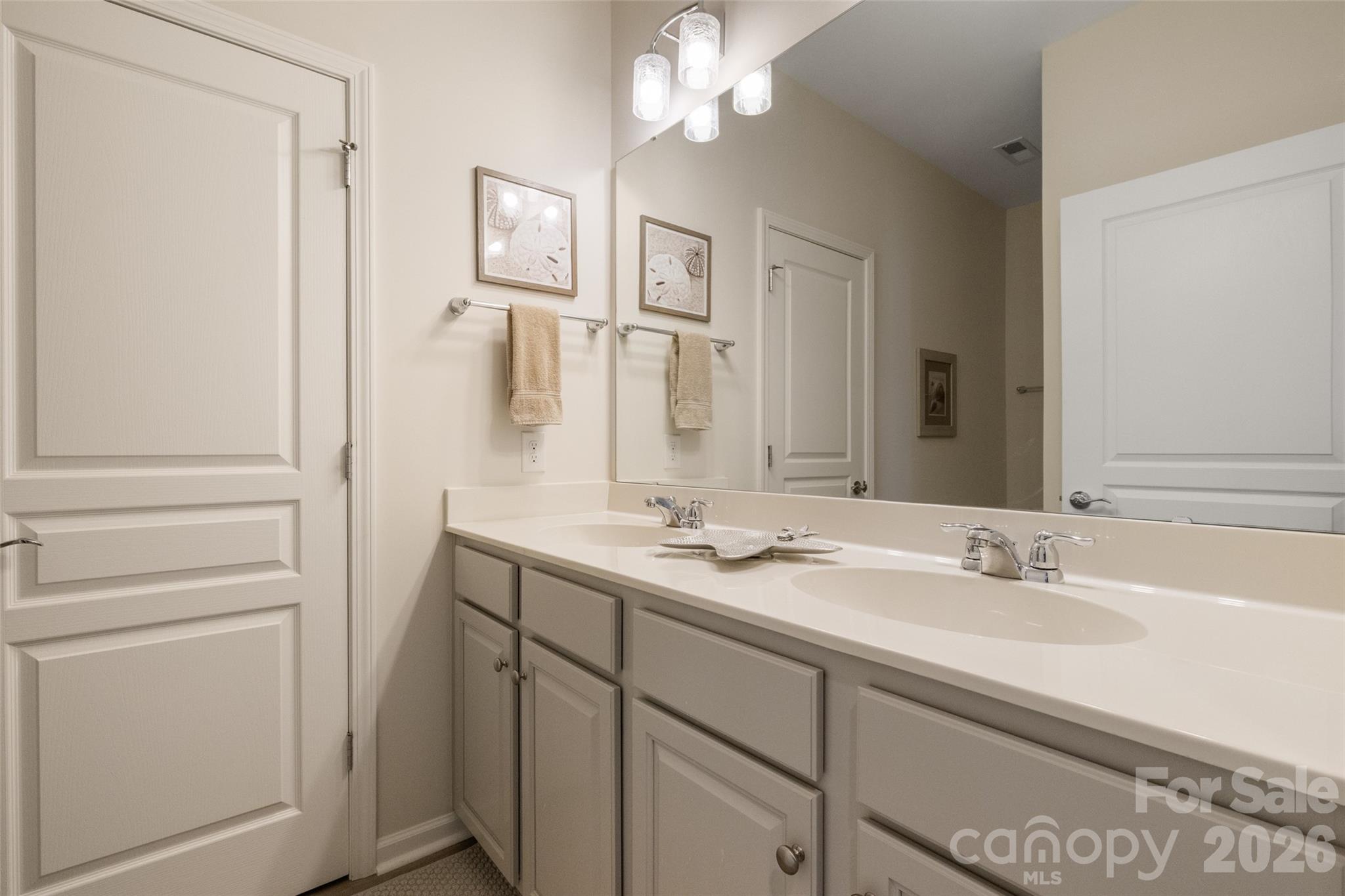 1002 Falling Leaf Street Indian Land, SC 29707 - Photo 21 of 45 a bathroom with a sink a light fixture and a mirror