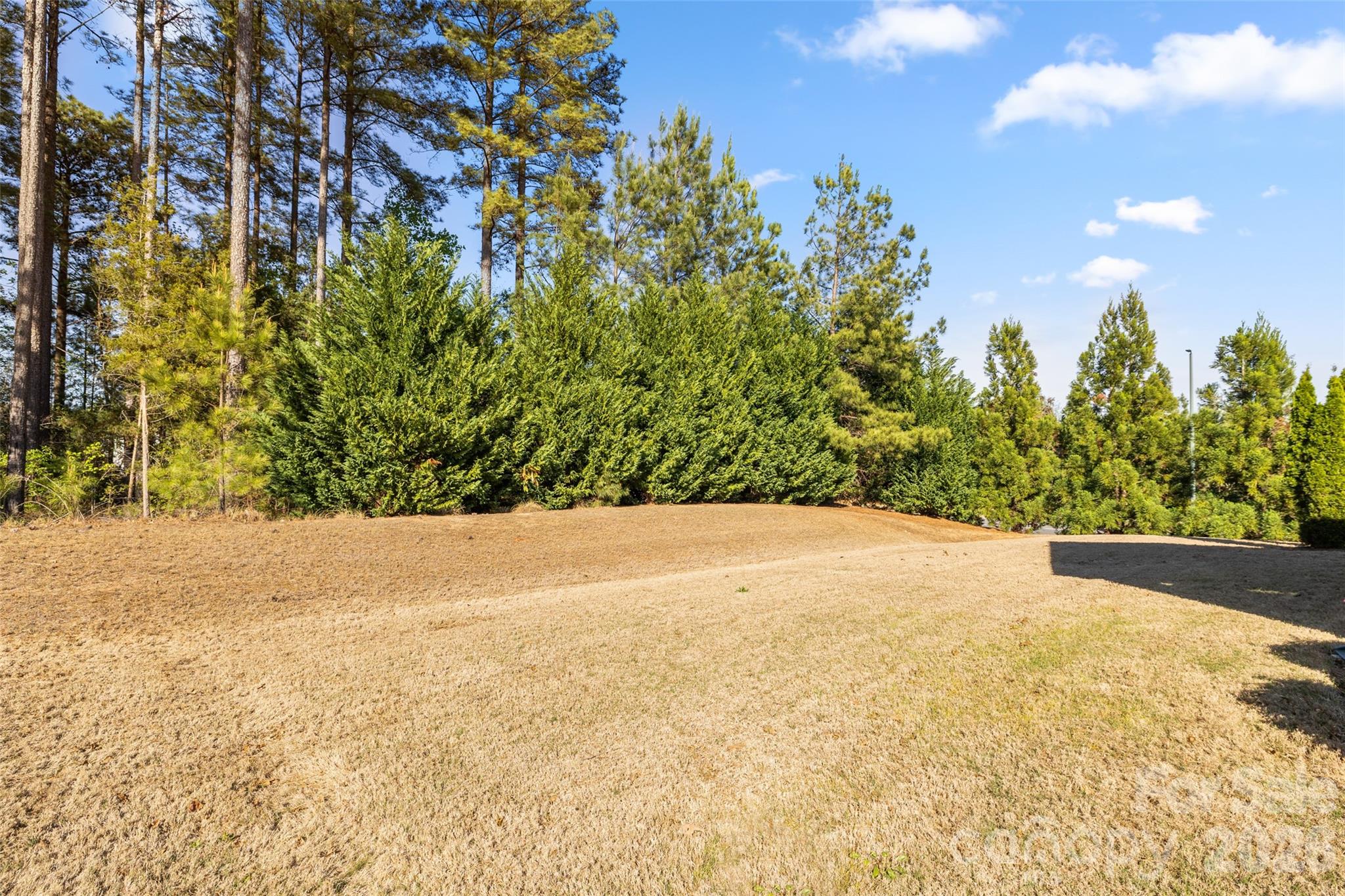 1002 Falling Leaf Street Indian Land, SC 29707 - Photo 36 of 45 a view of a yard with a tree