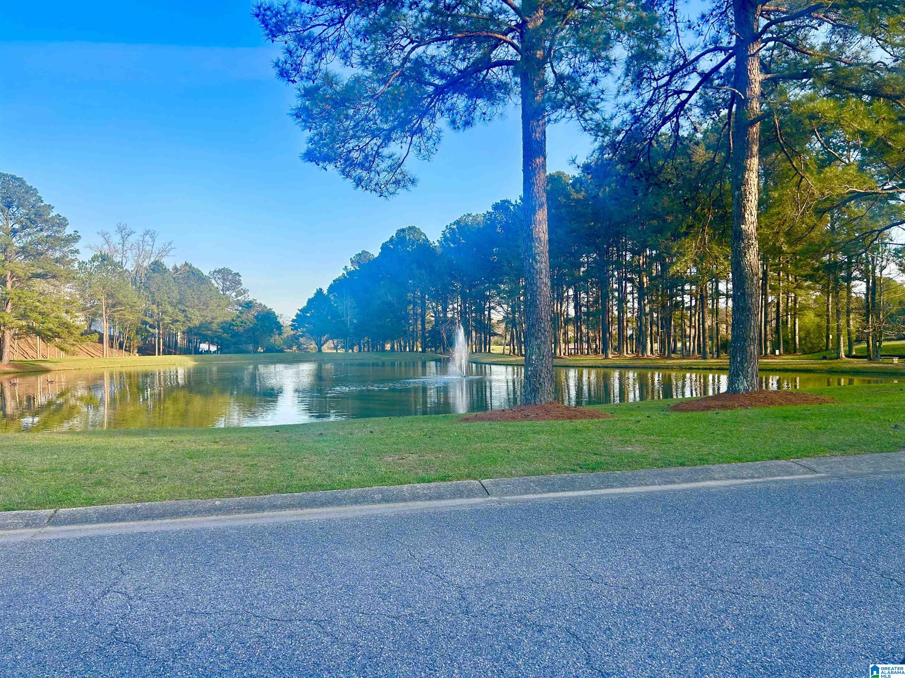 321 Wynlake Circle Alabaster, AL 35007 - Photo 8 of 8