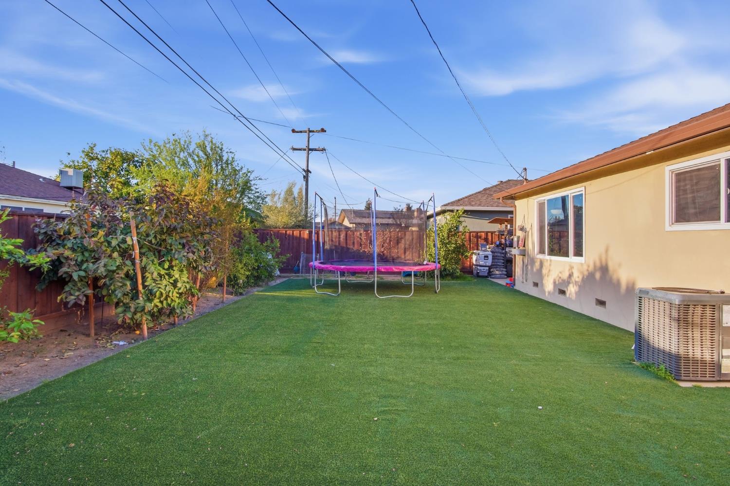 355 Harding Avenue Manteca, CA 95336 - Photo 17 of 21 a view of a house with a big yard potted plants and large tree