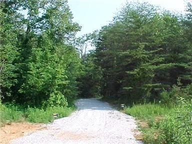 614 Echo Point Farm Road Bronston, KY 42518 - Photo 4 of 7 4