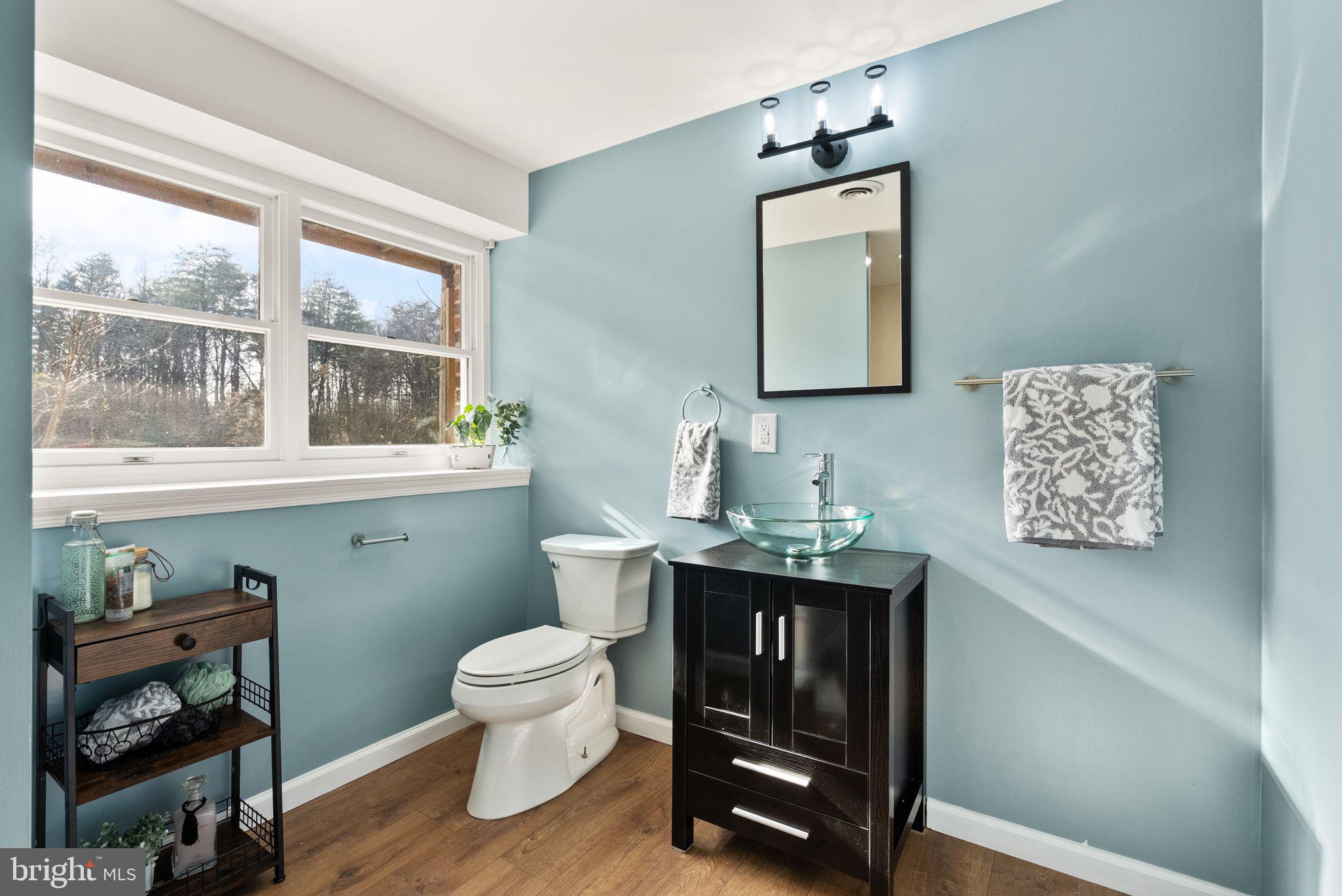 375 7 Ponds Road Amissville, VA 20106 - Photo 21 of 106 lower level bathroom 4