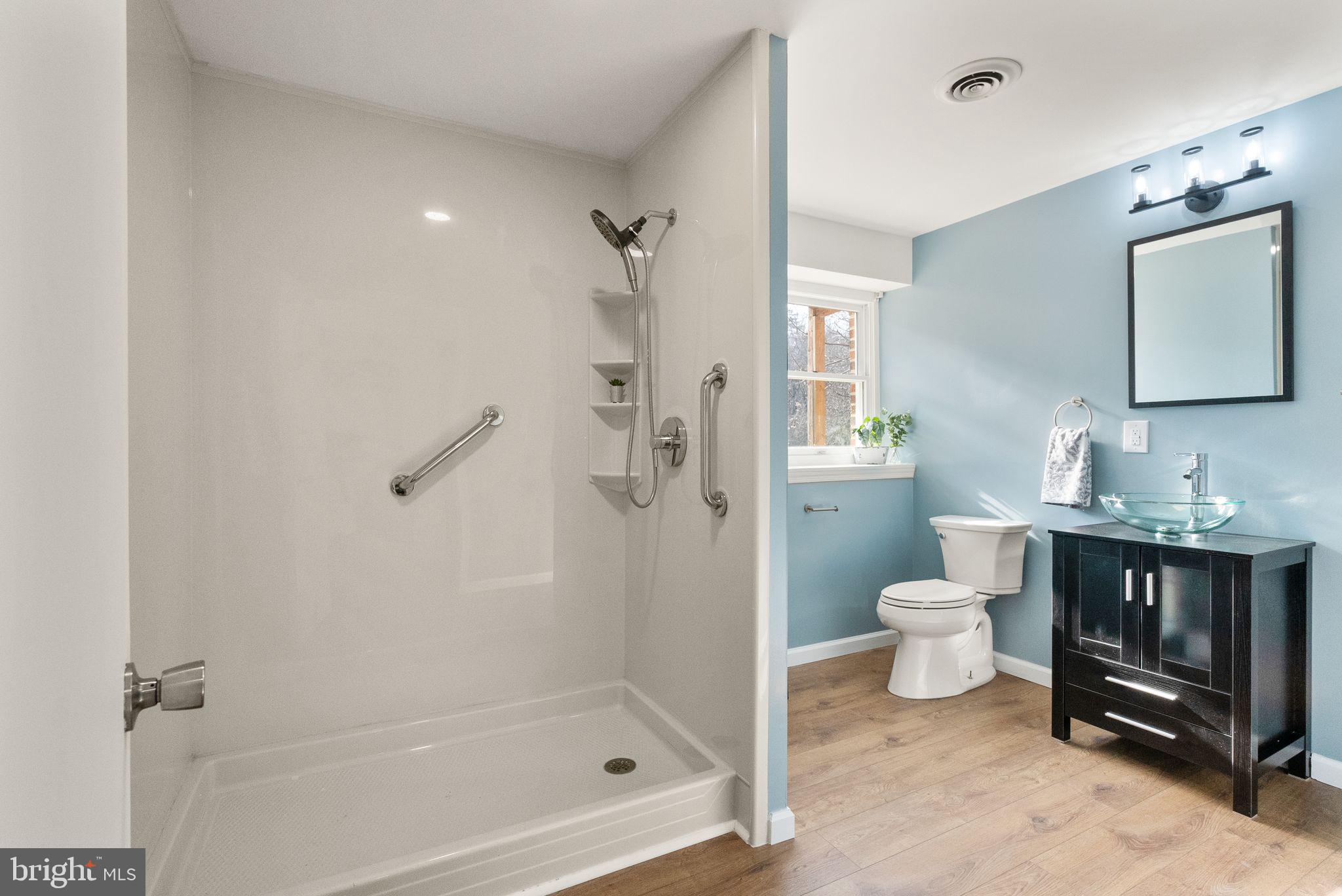 375 7 Ponds Road Amissville, VA 20106 - Photo 22 of 106 lower level bathroom 4