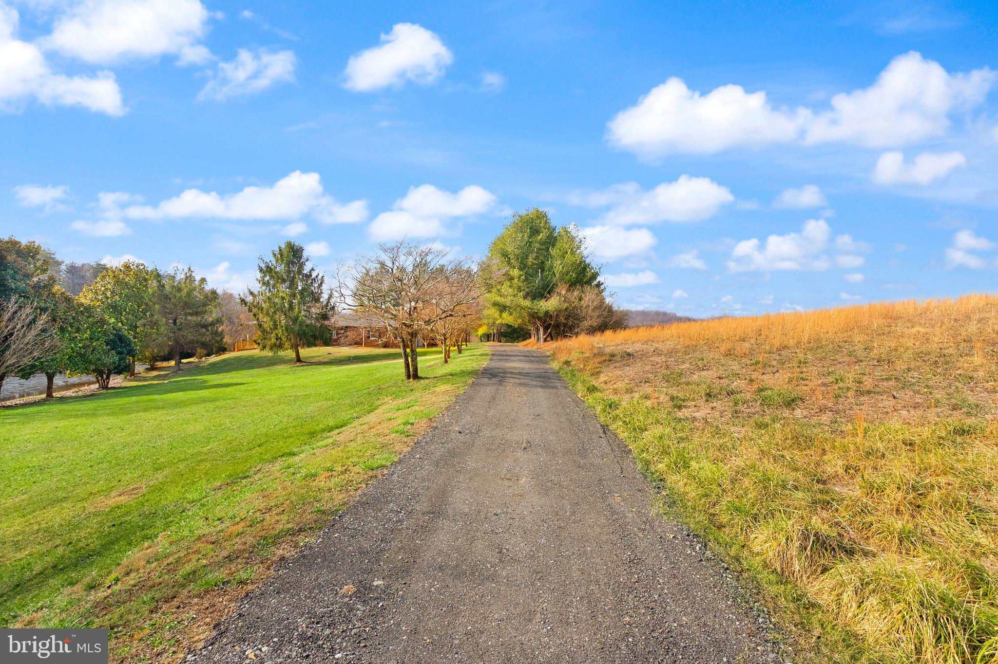 375 7 Ponds Road Amissville, VA 20106 - Photo 84 of 106 Driveway view to house