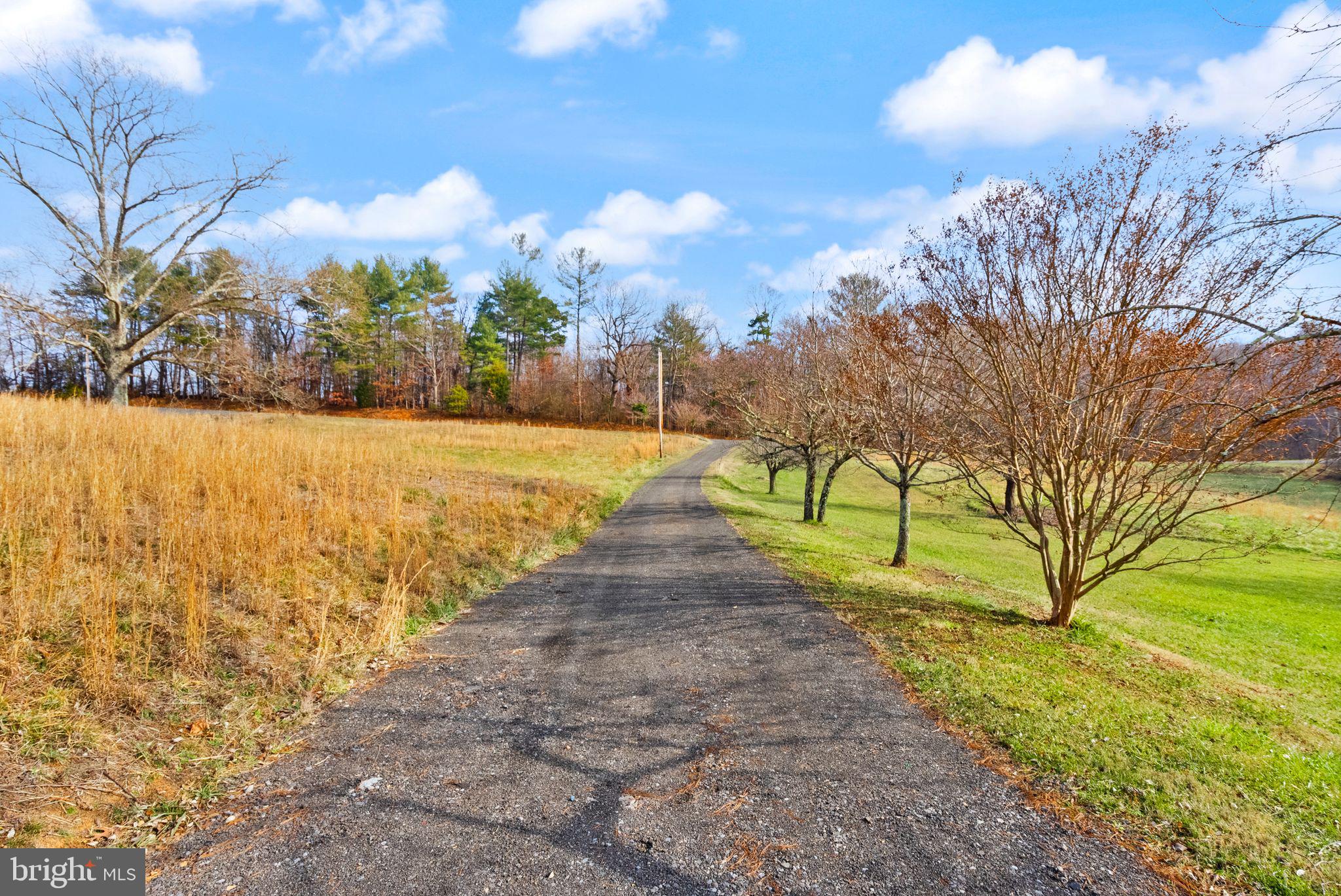 375 7 Ponds Road Amissville, VA 20106 - Photo 85 of 106 Driveway view away from house