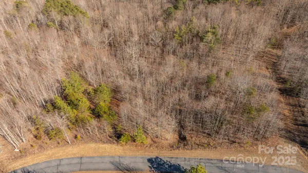 $73,999 | Tbd Coal Pit Mountain Drive, Nebo, NC 28761