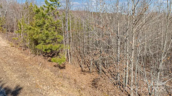 $73,999 | Tbd Coal Pit Mountain Drive, Nebo, NC 28761