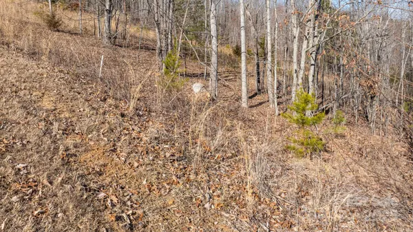 $73,999 | Tbd Coal Pit Mountain Drive, Nebo, NC 28761
