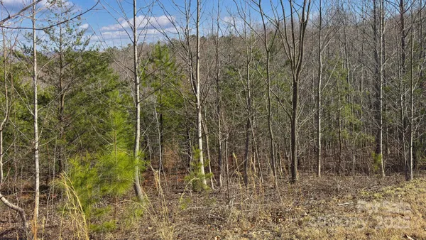 $73,999 | Tbd Coal Pit Mountain Drive, Nebo, NC 28761