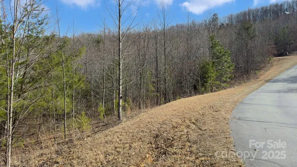 $73,999 | Tbd Coal Pit Mountain Drive, Nebo, NC 28761