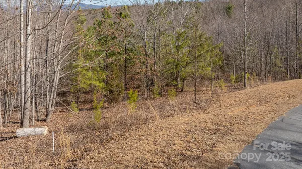 $73,999 | Tbd Coal Pit Mountain Drive, Nebo, NC 28761