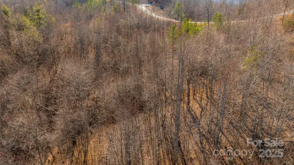 $73,999 | Tbd Coal Pit Mountain Drive, Nebo, NC 28761