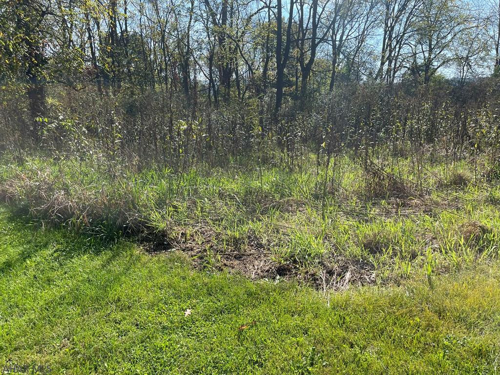 Off Egolf Road Bedford, PA 15522 - Photo 2 of 7 Gallery Image 2
