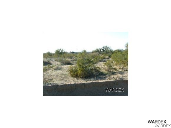 Lot 112 Douglas Road Yucca, AZ 86438 - Photo 2 of 12