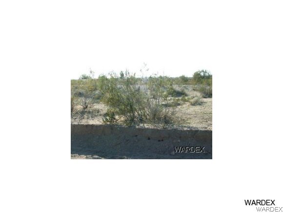 Lot 112 Douglas Road Yucca, AZ 86438 - Photo 3 of 12