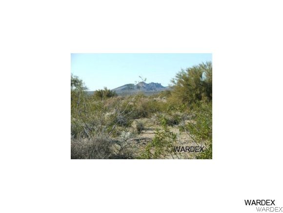 Lot 112 Douglas Road Yucca, AZ 86438 - Photo 4 of 12