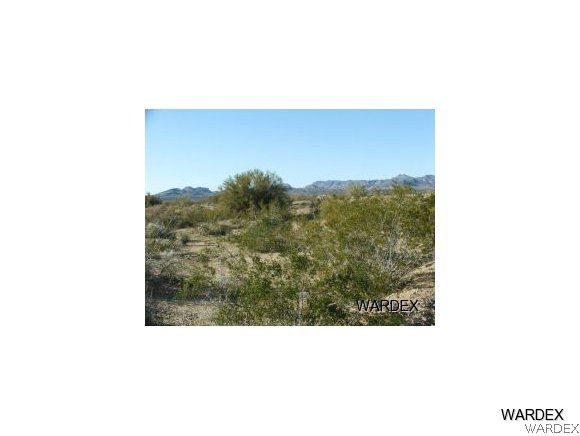 Lot 112 Douglas Road Yucca, AZ 86438 - Photo 5 of 12