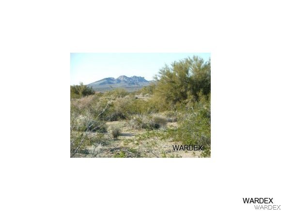 Lot 112 Douglas Road Yucca, AZ 86438 - Photo 7 of 12