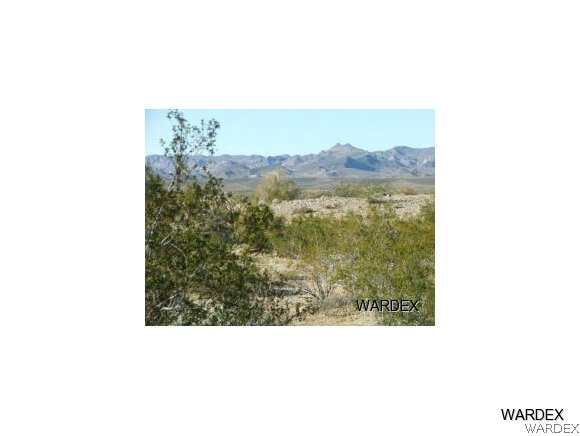 Lot 112 Douglas Road Yucca, AZ 86438 - Photo 8 of 12