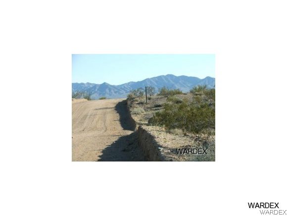 Lot 112 Douglas Road Yucca, AZ 86438 - Photo 9 of 12