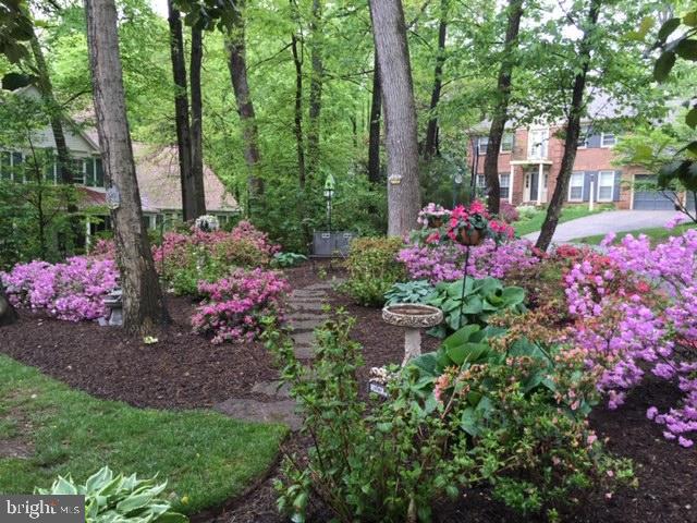 11677 Bennington Woods Road Reston, VA 20194 - Photo 2 of 51 Stunning gardens enhance the serene setting