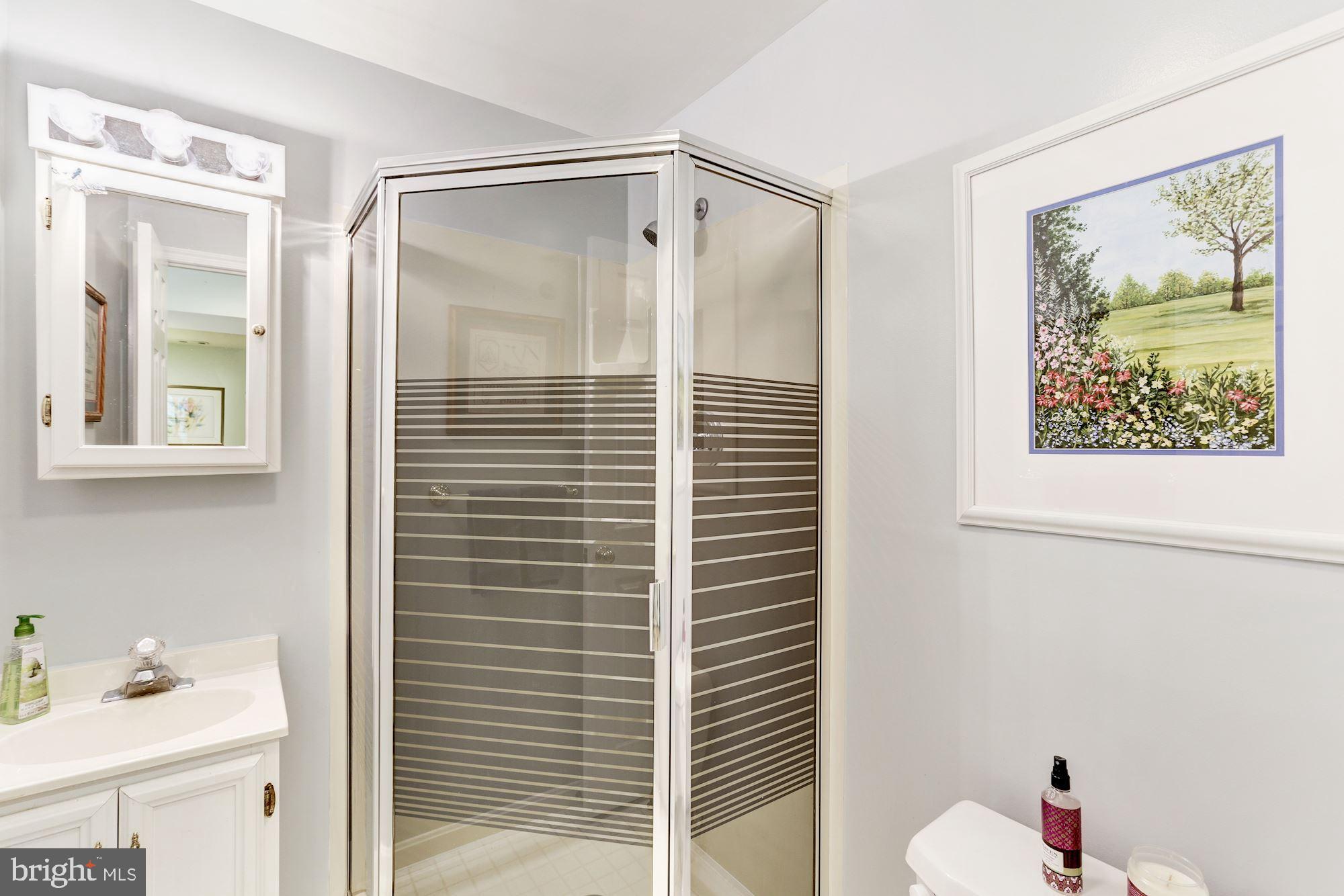 11677 Bennington Woods Road Reston, VA 20194 - Photo 38 of 51 Lower Level full bathroom