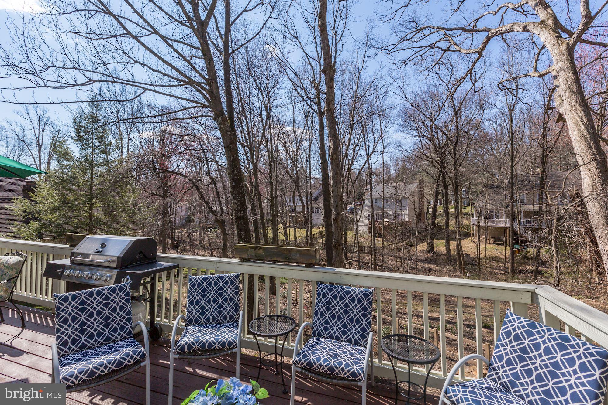 11677 Bennington Woods Road Reston, VA 20194 - Photo 44 of 51 So private and beautiful in all 4 seasons